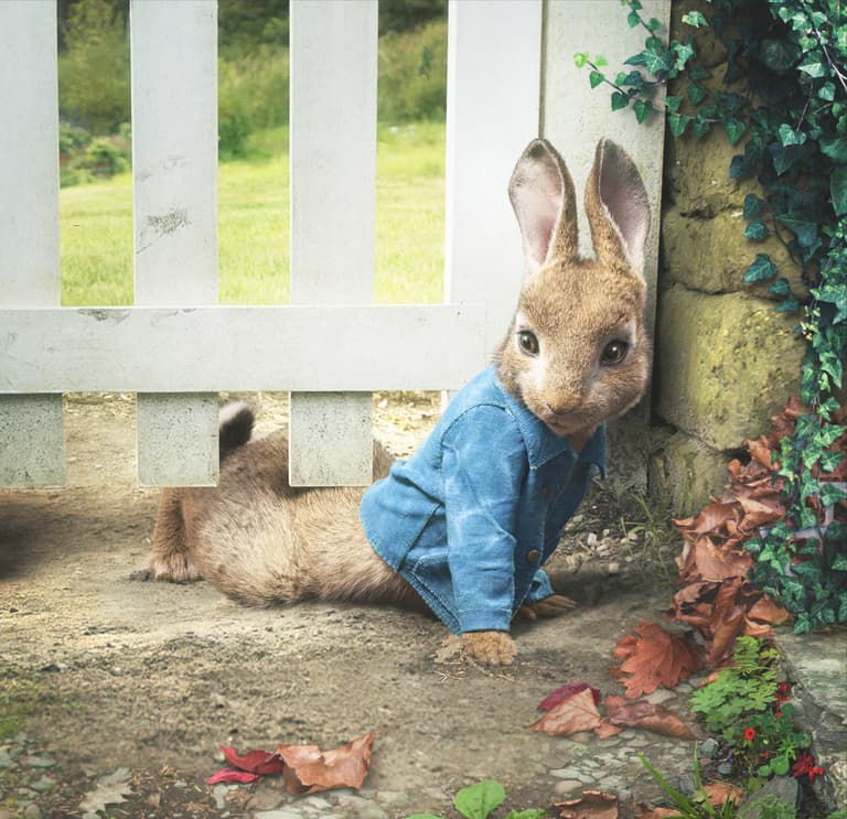 5 reasons we all adored Peter Rabbit growing up (and he’s making a BIG return!) 5 reasons we all adored Peter Rabbit growing up (and he’s making a BIG return!)