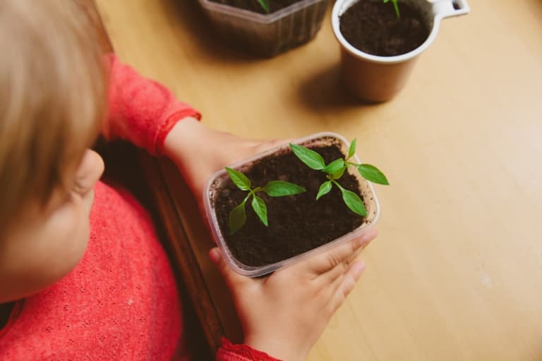 Social distancing: 3 easy nature-inspired projects to get the kids involved in Social distancing: 3 easy nature-inspired projects to get the kids involved in