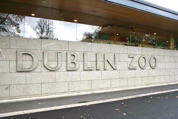 One for the parents -if you turn 40 this year you can visit Dublin Zoo for free