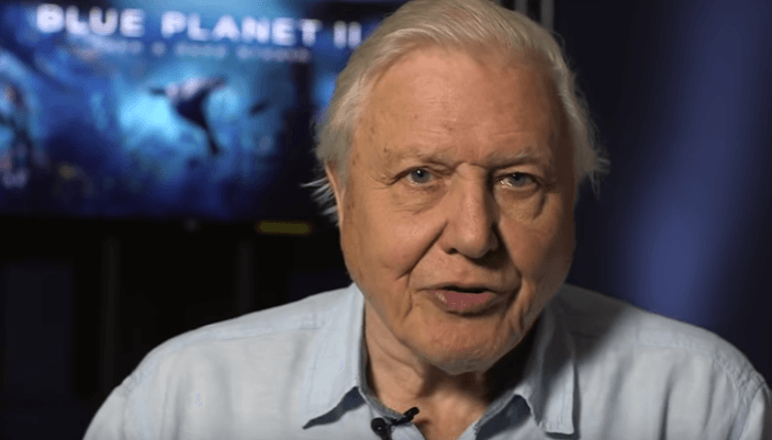 BBC announce David Attenborough has two nature documentaries coming this year BBC announce David Attenborough has two nature documentaries coming this year