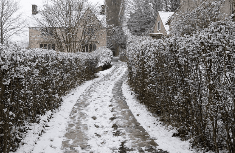Animal welfare issue warning in Ireland after puppy dies from freezing weather