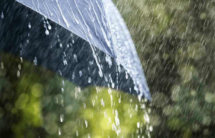 The weather forecast shows that we’re in for a day full of rain and thunder