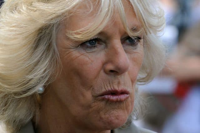 Take a minute for the Duchess of Cornwall winking behind Donald Trump’s back Take a minute for the Duchess of Cornwall winking behind Donald Trump’s back