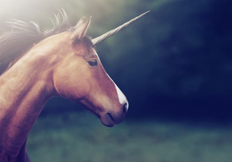 ‘Magical Unicorn Weekends’ are back next week and we’re booking our tickets ‘Magical Unicorn Weekends’ are back next week and we’re booking our tickets
