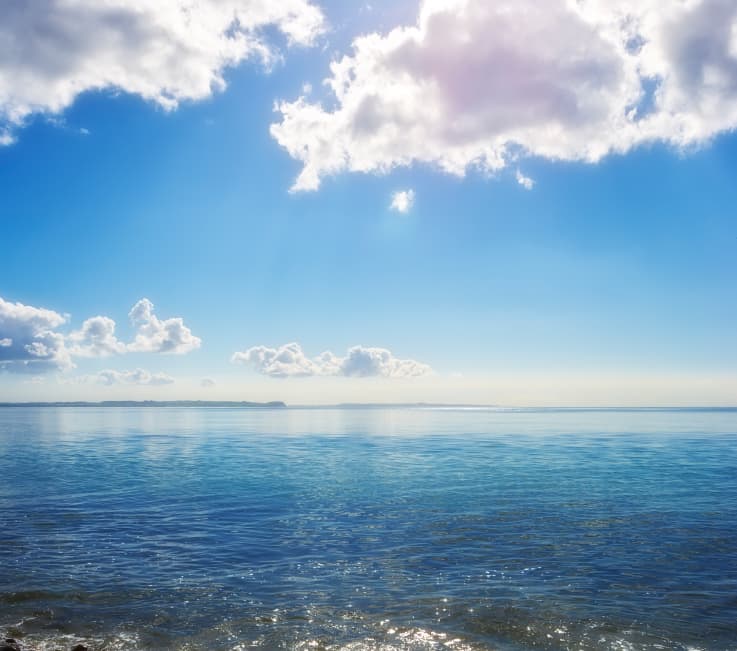 Ireland to become first EU country to ban microbeads in shower gels, scrubs, and cleaners