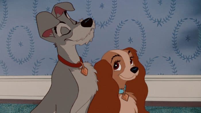 Disney has cast a rescue dog as the main lead in Lady And The Tramp remake Disney has cast a rescue dog as the main lead in Lady And The Tramp remake