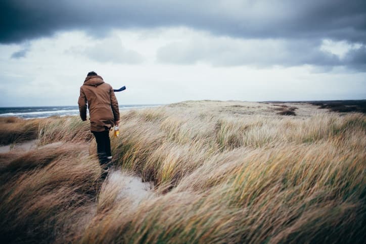 Status yellow wind warning issued to eight counties