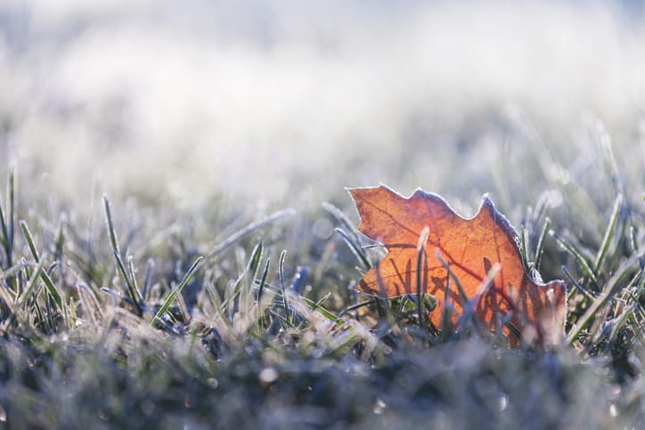 “Winter like” weather on the way for Ireland this week “Winter like” weather on the way for Ireland this week