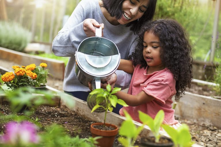4 amazing benefits of starting a family herb garden