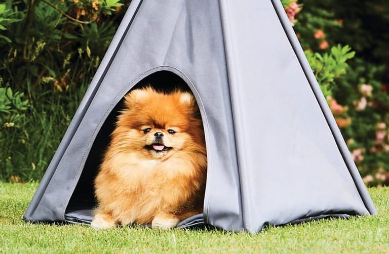 Aldi is selling the cutest outdoor teepee for your dog