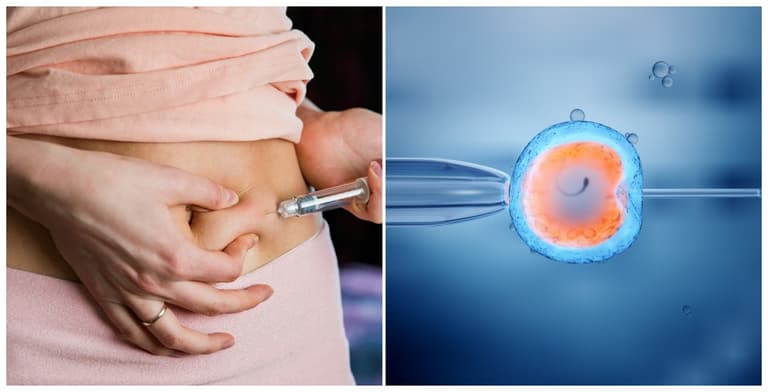 Fertility treatment: New discovery pinpoints ‘golden window’ for IVF success