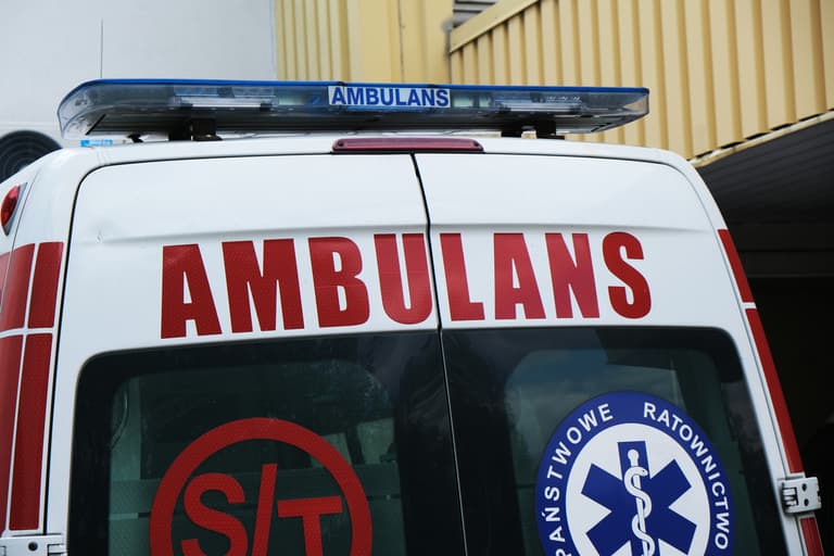 5-year-old Afghan refugee dies in Poland after eating mushrooms 5-year-old Afghan refugee dies in Poland after eating mushrooms