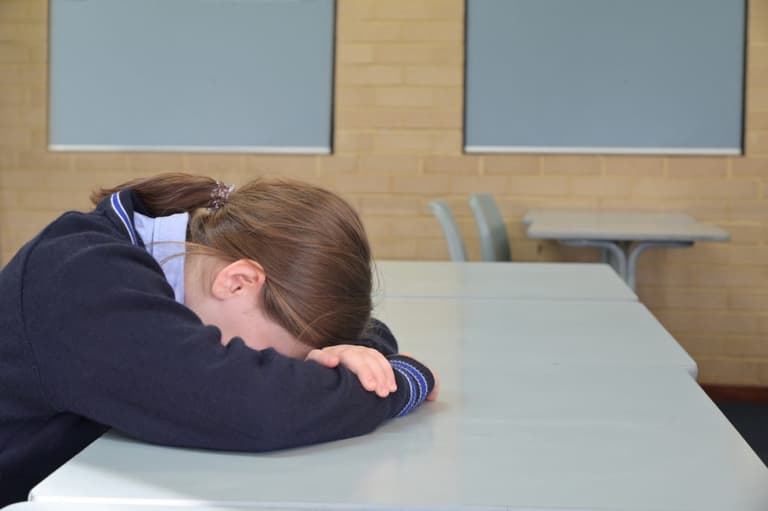 Campaigners say Government must continue funding mental health supports in schools