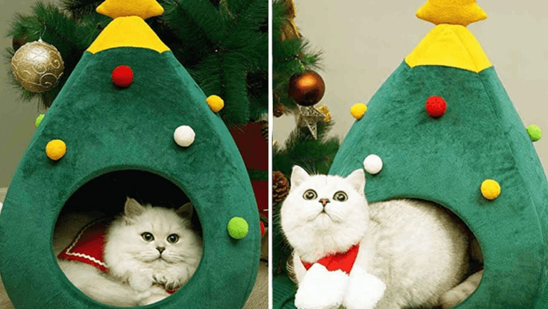 You can now buy a Christmas tree bed for your pet You can now buy a Christmas tree bed for your pet