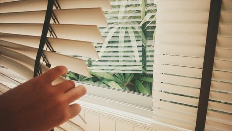 My neighbour keeps spying into my house, what should I do?