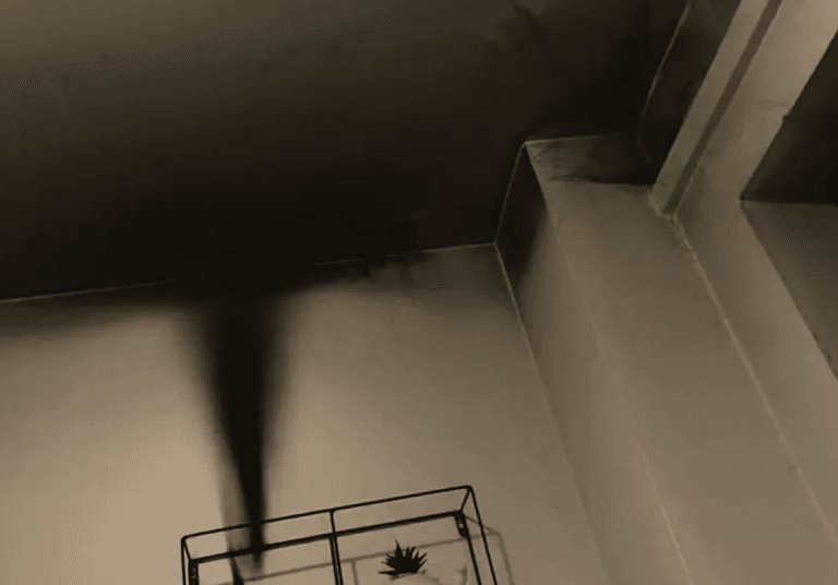 Mum gets the fright of her life after cheap tea-lights set house on fire Mum gets the fright of her life after cheap tea-lights set house on fire