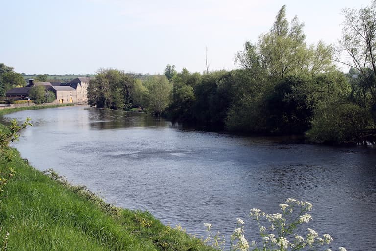 Man (30s) dies after getting into difficulty in River Barrow in Co. Carlow