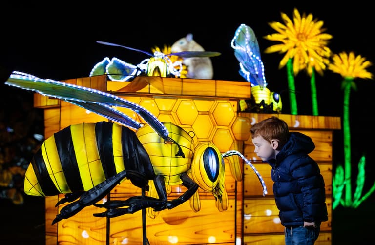 Dublin Zoo reveals the theme for Wild Lights 2022