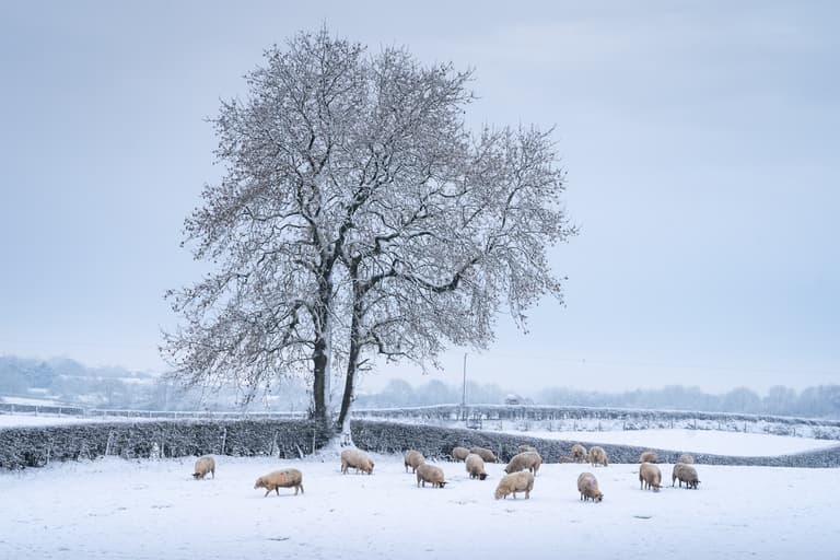 Snow predicted as triple weather warning issued by Met Eireann Snow predicted as triple weather warning issued by Met Eireann