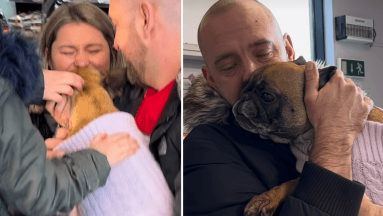 WATCH: DSPCA reunites family with stolen dog after two years WATCH: DSPCA reunites family with stolen dog after two years