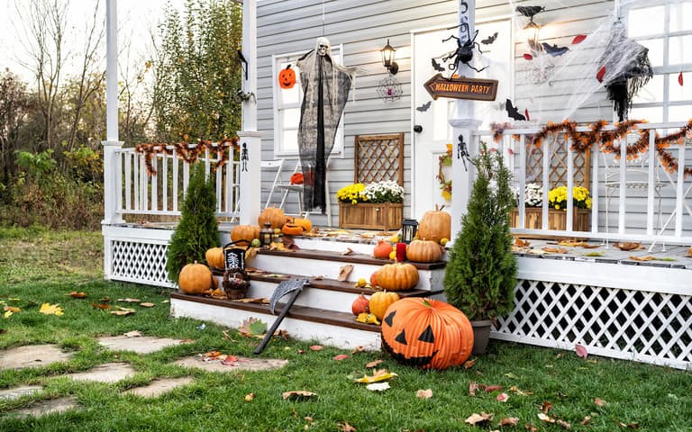 Parents urged to stop using fake spiderwebs as Halloween decorations Parents urged to stop using fake spiderwebs as Halloween decorations