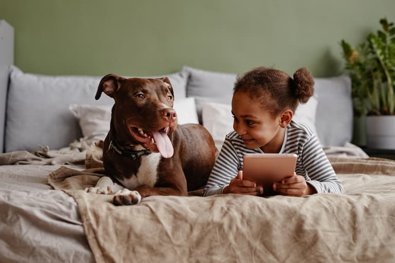 Parents urged to be vigilant to keep children safe online this Christmas