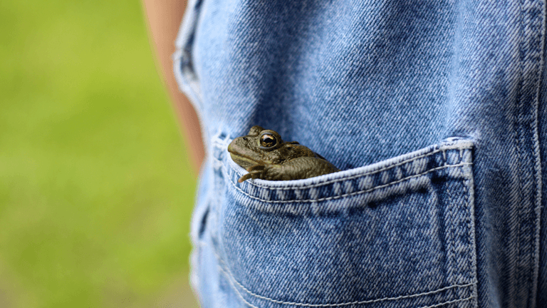 Parents share the funniest and weirdest things they’ve found in their kids pockets