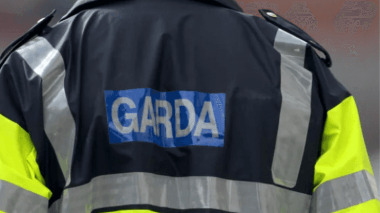 Boy rushed to hospital after savage dog attack in Kerry Boy rushed to hospital after savage dog attack in Kerry