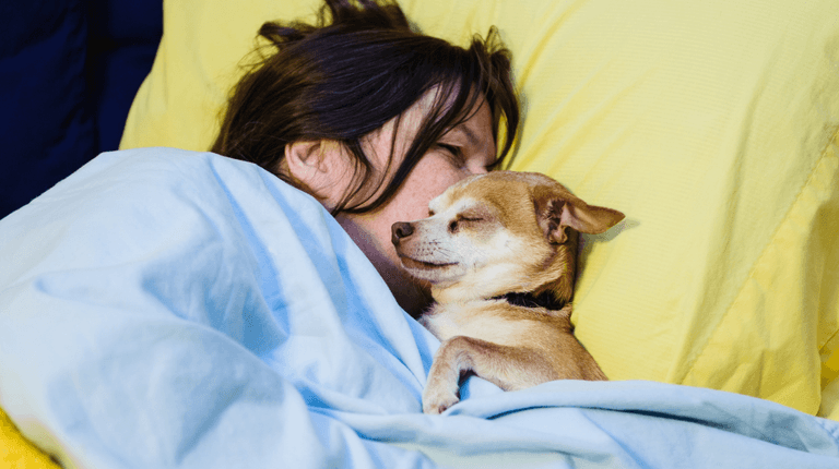 Women sleep better next to a dog than with a man, study claims