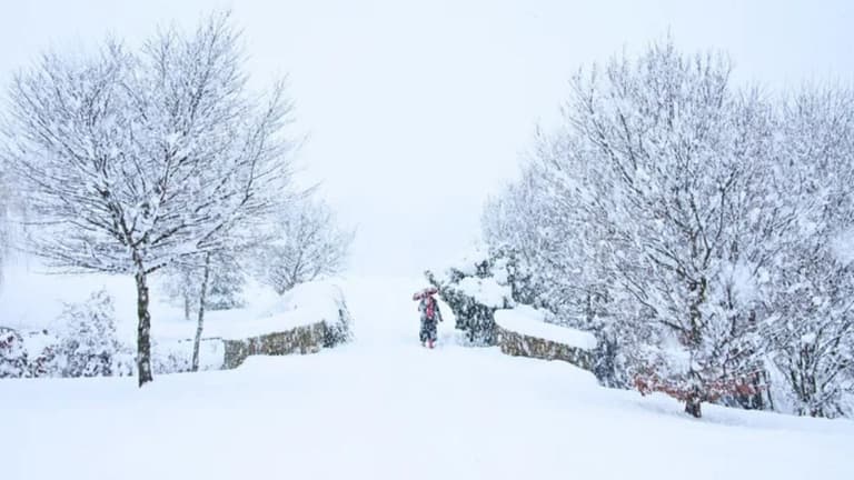 Several Irish counties hit with weather warning over snowstorm