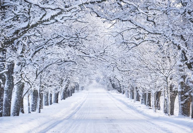 The important reason you still shouldn’t be out driving today The important reason you still shouldn’t be out driving today