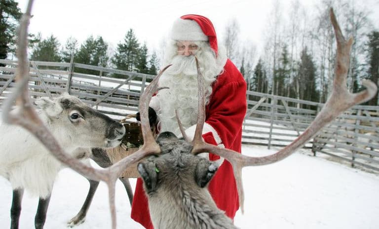 A reindeer was ‘shot at close range’ at Santa Experience in Wicklow A reindeer was ‘shot at close range’ at Santa Experience in Wicklow