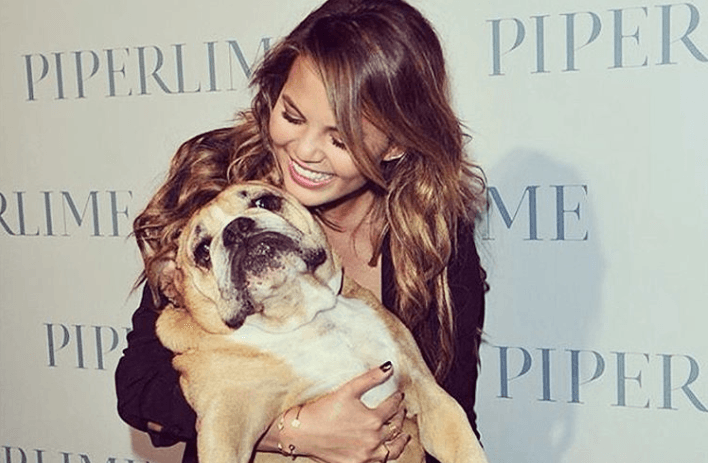 Chrissy Teigen shares emotional post after her dog Puddy passes away Chrissy Teigen shares emotional post after her dog Puddy passes away