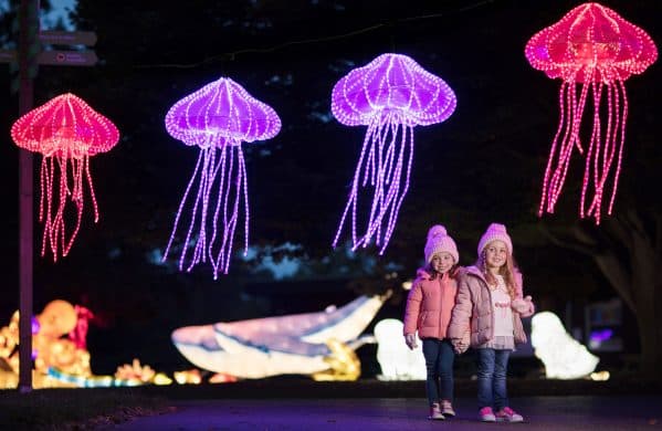 Wild Lights in Dublin Zoo cancelled tonight due to Met Eireann warning Wild Lights in Dublin Zoo cancelled tonight due to Met Eireann warning