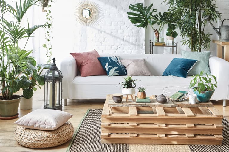 Penneys’ range of cute indoor plants means we can all create Insta-perfect spaces Penneys’ range of cute indoor plants means we can all create Insta-perfect spaces