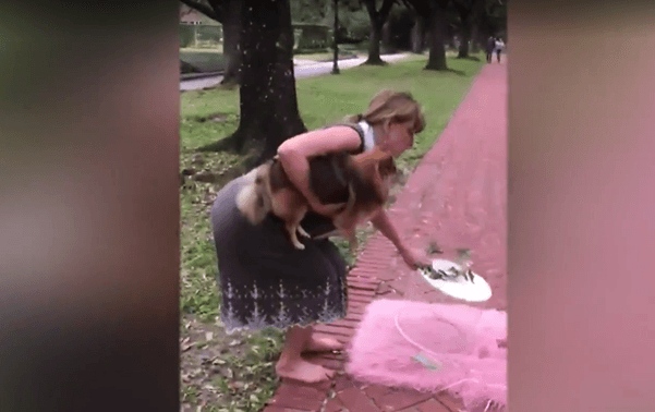 Viral video caught middle-aged-woman destroying a baby’s photoshoot Viral video caught middle-aged-woman destroying a baby’s photoshoot
