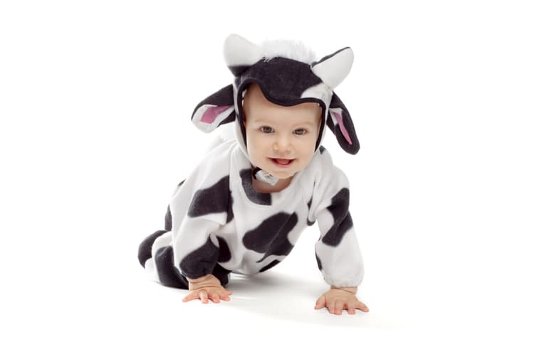 Video of little boy saying ‘moo’ in Welsh and Irish accents is just too adorable Video of little boy saying ‘moo’ in Welsh and Irish accents is just too adorable