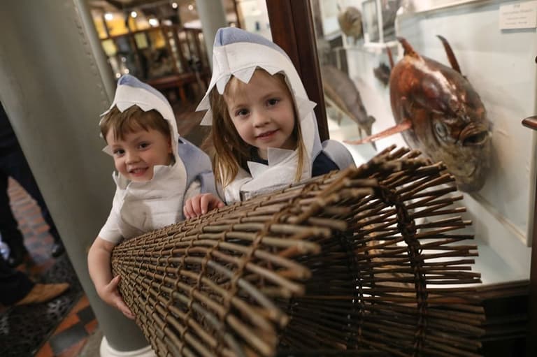 There’s lots of Fishy Fun to be had at the National Museum of Ireland this week There’s lots of Fishy Fun to be had at the National Museum of Ireland this week