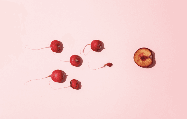 Getting pregnant: New study finds female eggs actually choose their sperm Getting pregnant: New study finds female eggs actually choose their sperm