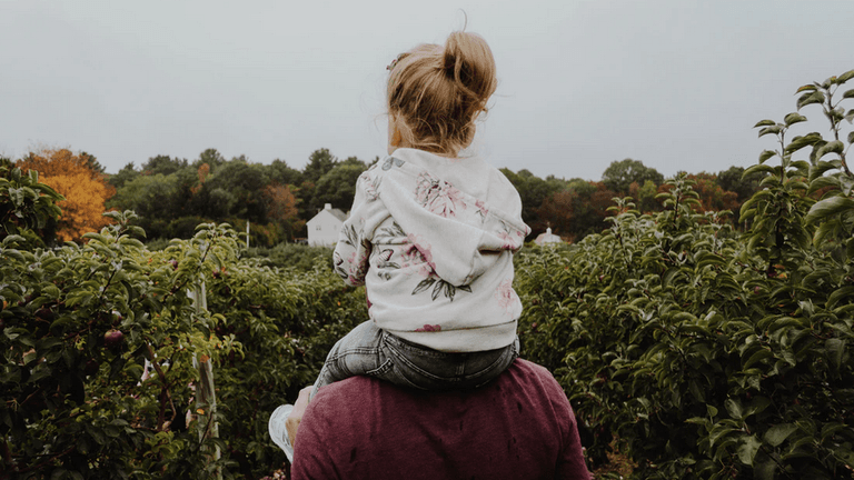 Apparently, couples with daughters are far more likely to end up getting divorced Apparently, couples with daughters are far more likely to end up getting divorced