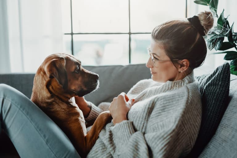 Channel 4 looking for wannabe dog owners for new dog rescue show Channel 4 looking for wannabe dog owners for new dog rescue show