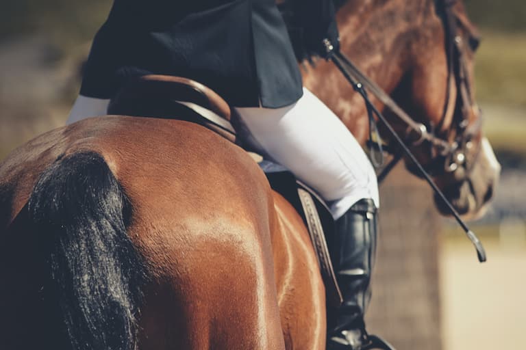 Teacher caught punching and kicking horse has been suspended from school Teacher caught punching and kicking horse has been suspended from school
