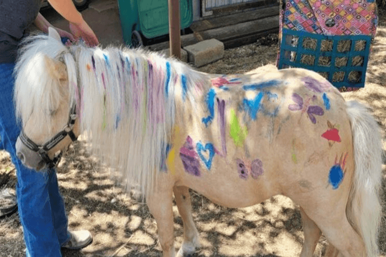 Teen Mom’s Farrah Abraham accused of animal cruelty after kids paint horse Teen Mom’s Farrah Abraham accused of animal cruelty after kids paint horse