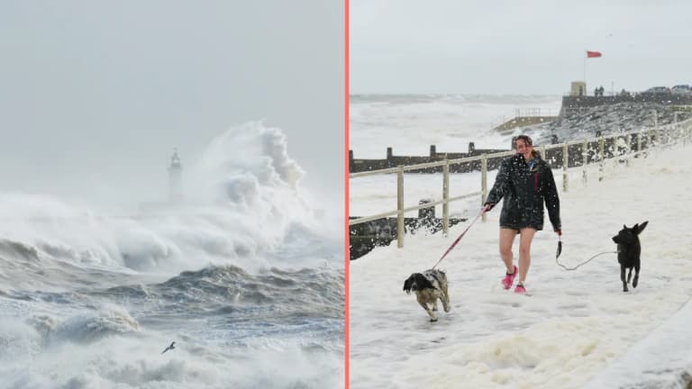 Storm Éowyn: Follow updates about Ireland’s ‘worst storm in years’ Storm Éowyn: Follow updates about Ireland’s ‘worst storm in years’
