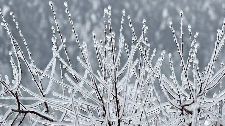 Met Éireann warns of possible snow as heating bills continue to rise Met Éireann warns of possible snow as heating bills continue to rise