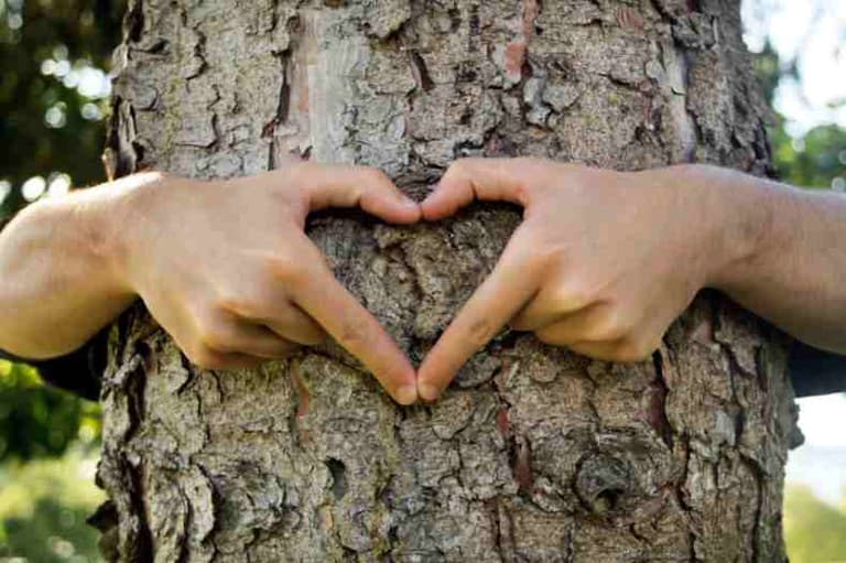 Treerific: This week we are celebrating tree love Treerific: This week we are celebrating tree love