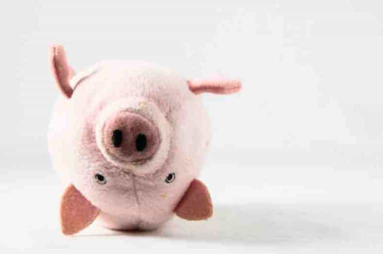 Pocket money burning a hole in your pocket? Pocket money burning a hole in your pocket?