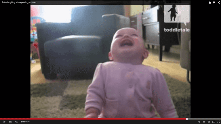 WATCH: We have literally never laughed as hard as this little cutie WATCH: We have literally never laughed as hard as this little cutie