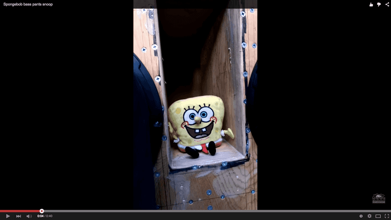WATCH: SpongeBob Basspants is busting out some killer moves WATCH: SpongeBob Basspants is busting out some killer moves