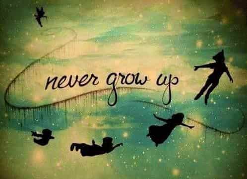 Peter Pan on Ice is coming to Dublin for five days only Peter Pan on Ice is coming to Dublin for five days only